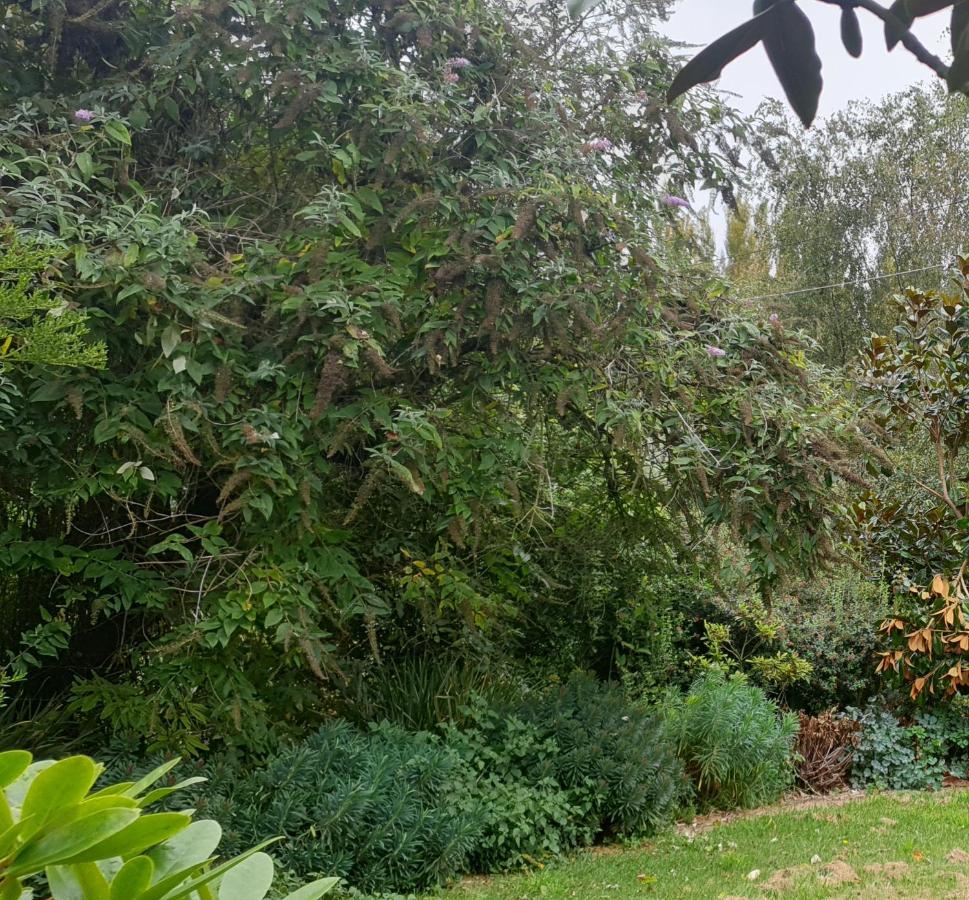 Windhaven Bed & Breakfast Duntroon Esterno foto