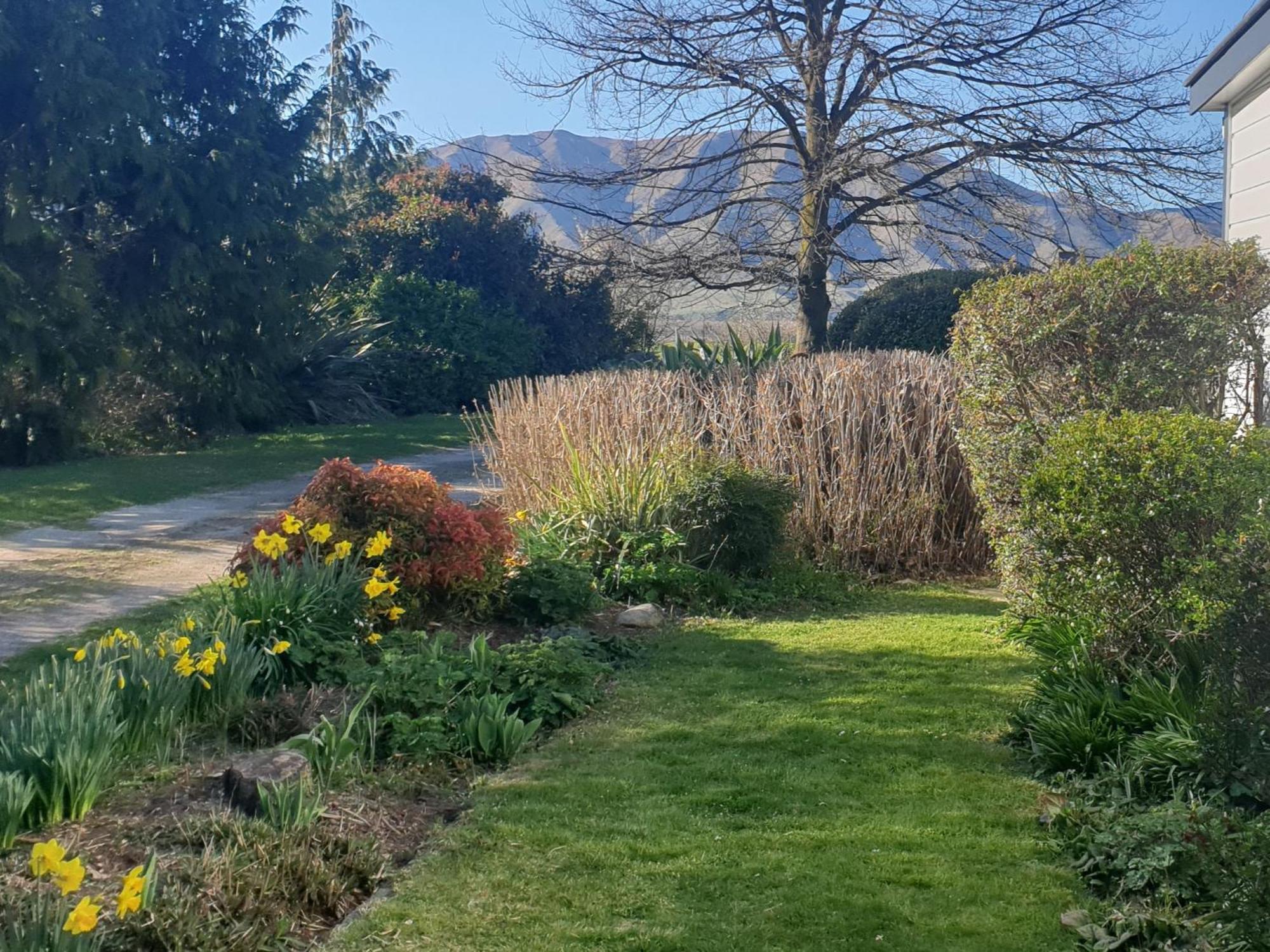 Windhaven Bed & Breakfast Duntroon Esterno foto