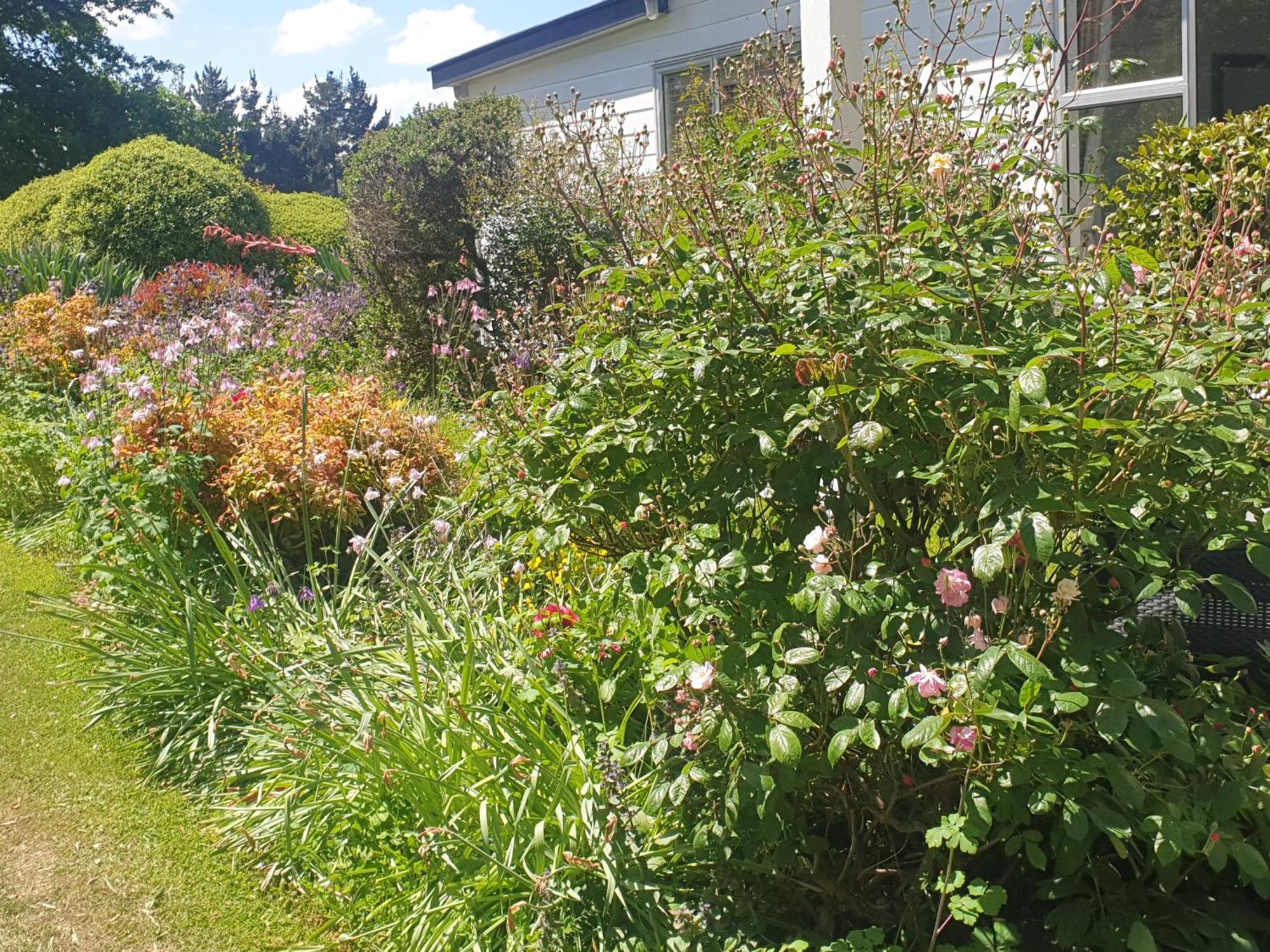 Windhaven Bed & Breakfast Duntroon Esterno foto
